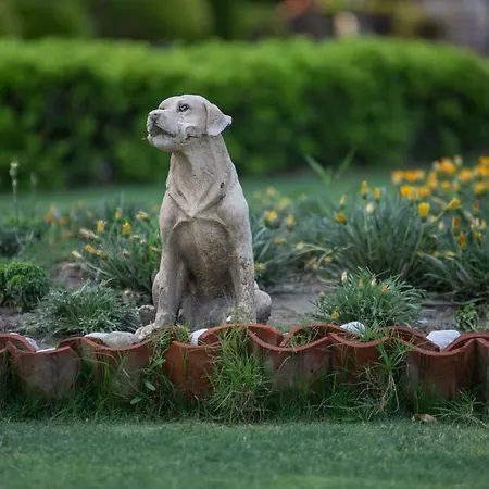 فندق Beyt - Islamic كوشاداسيه